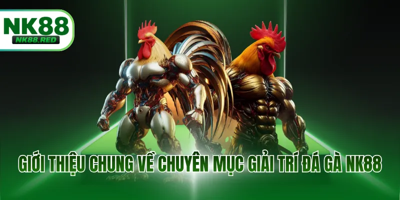 Giới thiệu chung về chuyên mục giải trí đá gà NK88