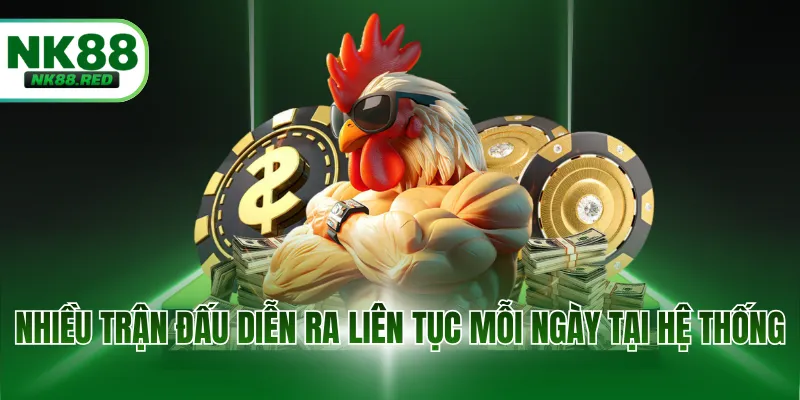 Nhiều trận đấu diễn ra liên tục mỗi ngày tại hệ thống